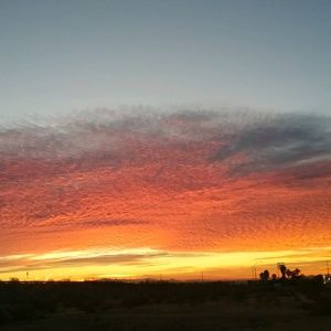 Meet your Posher, Pedro